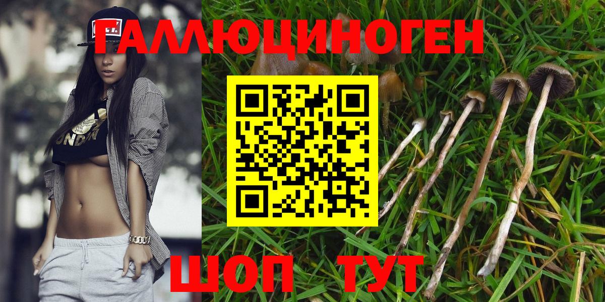 Муравленко  Галлюциногенные грибы мицелий  Вход с VPN 